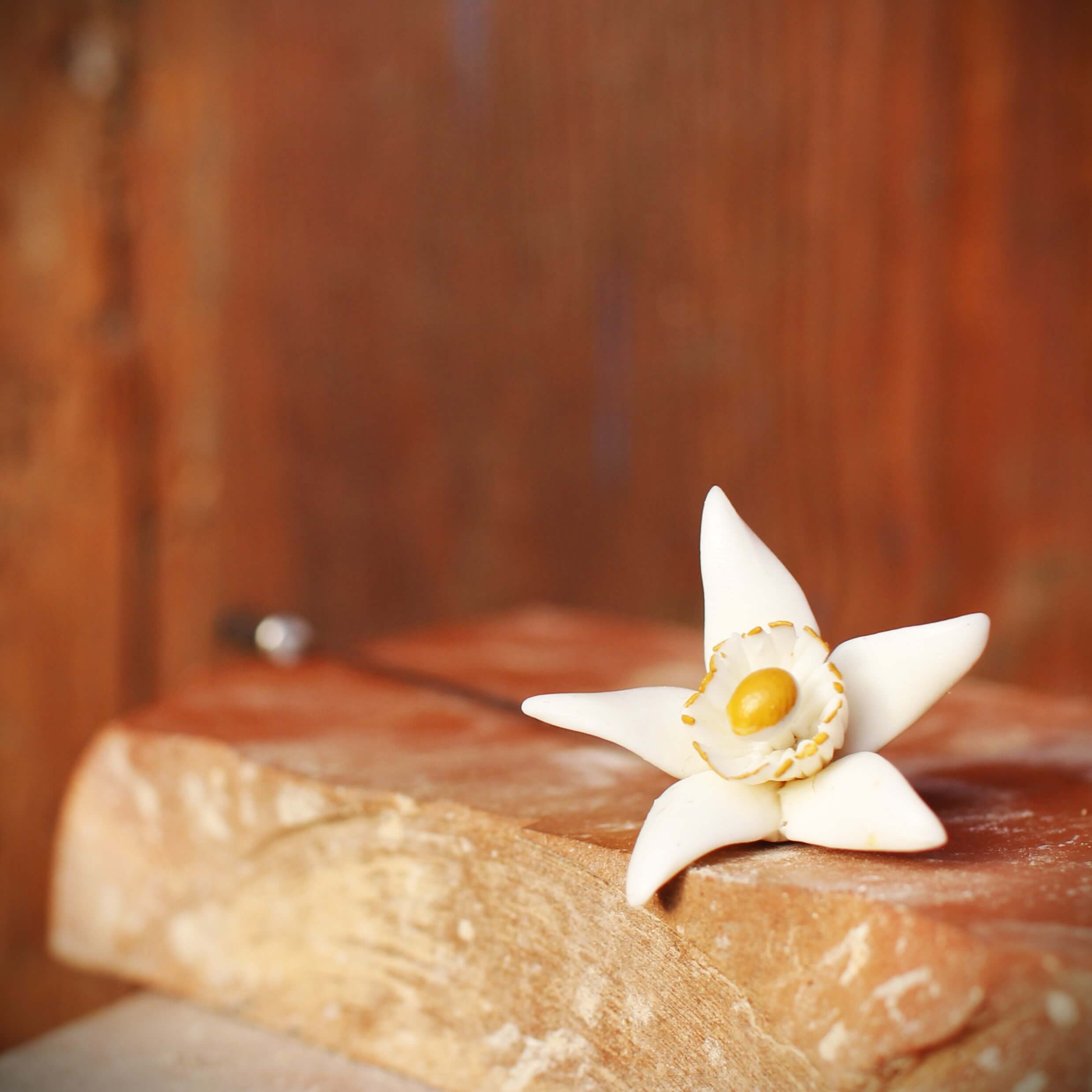Agulla flor de taronger