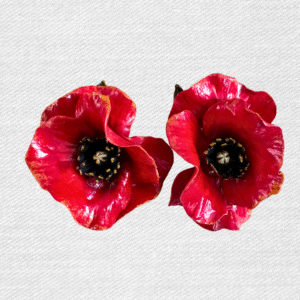Roselles botonet.