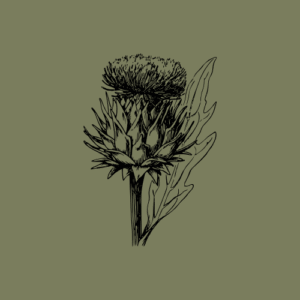 Carxofera