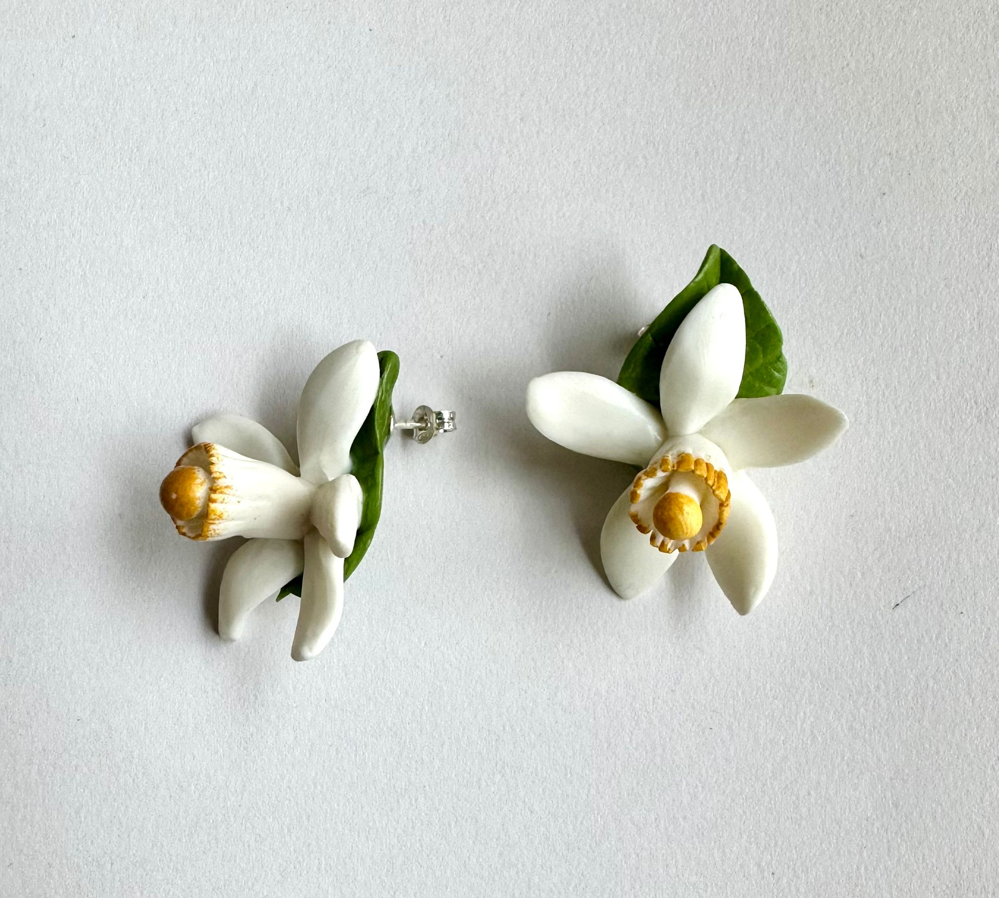 Flor del taronger en botonet - Imatge 2