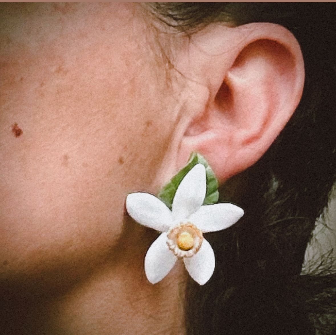 Flor del taronger en botonet - Imatge 3