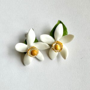 Flor del taronger en botonet