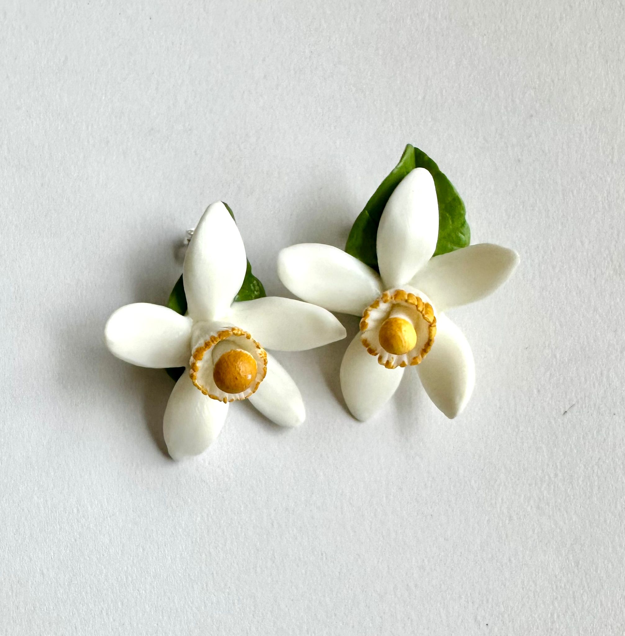 Flor del taronger en botonet