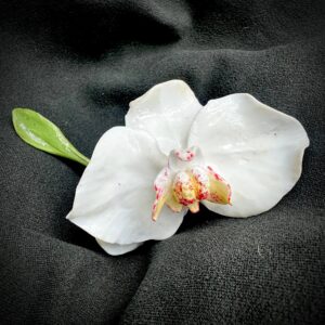 Anell orquídia